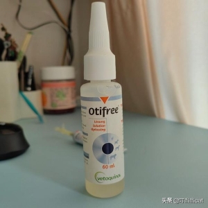 猫咪的胡须是一种特殊的感觉器官！猫咪胡子的5个小未解之谜