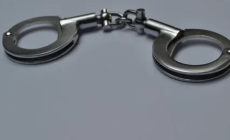 东北二王大案纪实：深度剖析二王事件