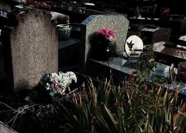《不良人诡事录》第129章 繁华冢