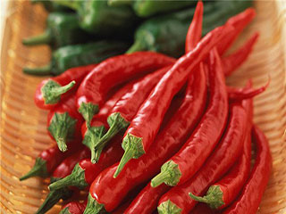 湿度合适才能长出好香菇 香菇大棚加湿机 18KG增湿器