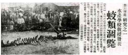 四个中国风水龙脉真实故事，至于信不信那就由你了