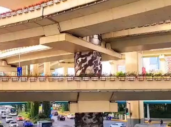 上海高架龙柱事件：真禅法师泄露天机用命