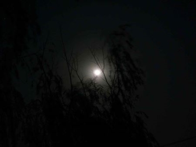 揭秘宇宙中最神秘的天体：什么是黑洞 