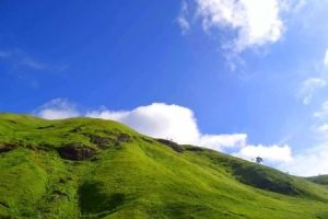 师范类专科学校排名湖南，附湖南所有专科学校排名