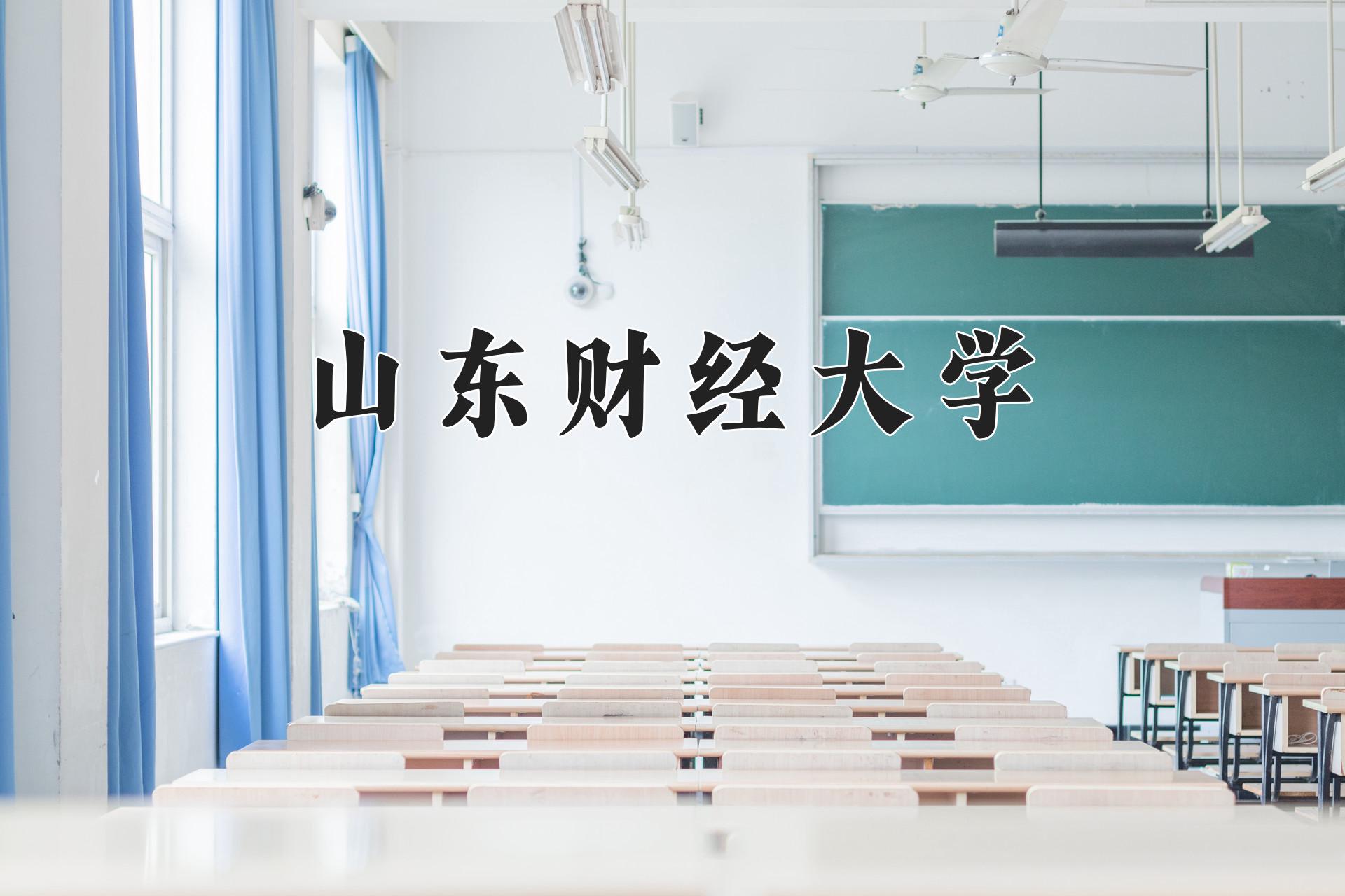 山东财经大学