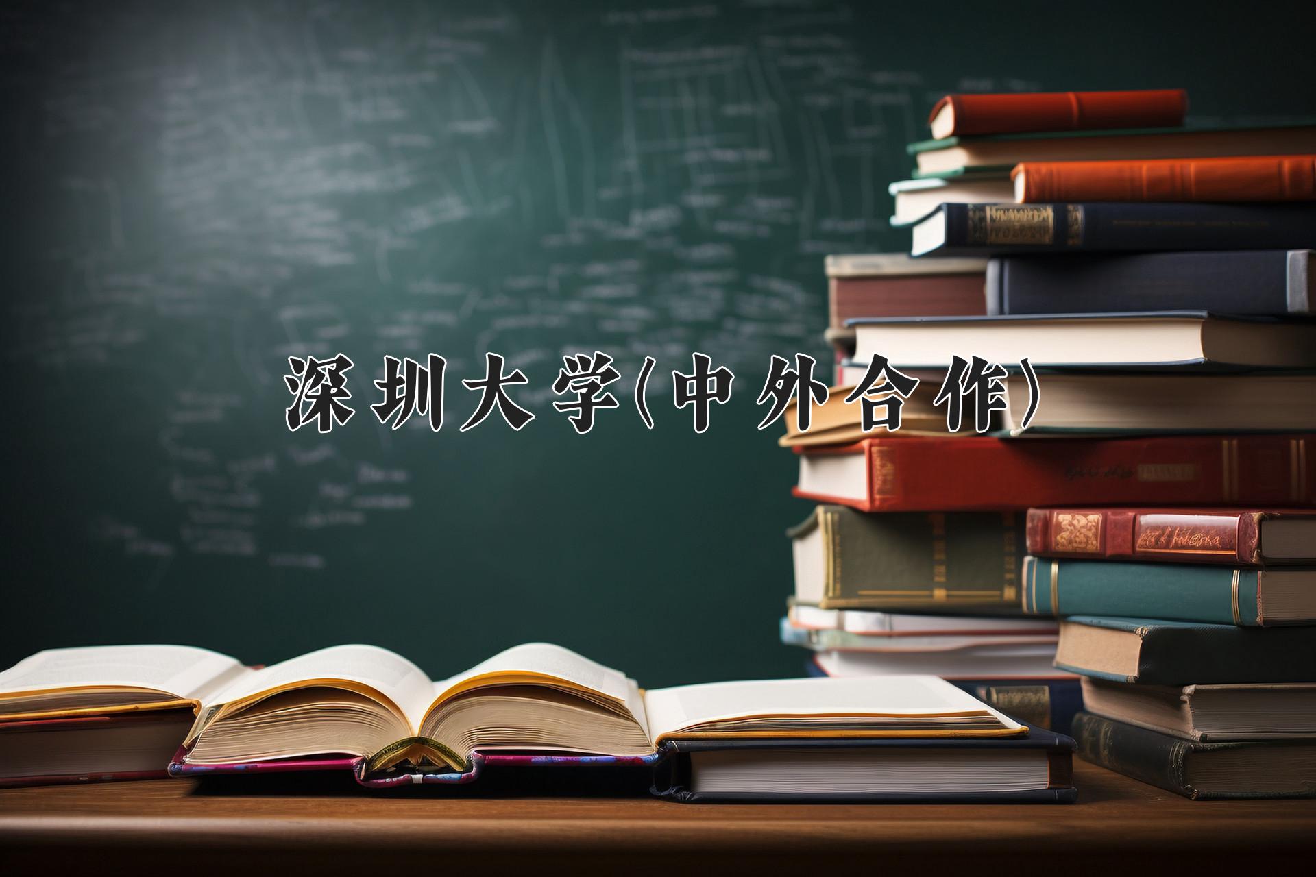 深圳大学(中外合作)