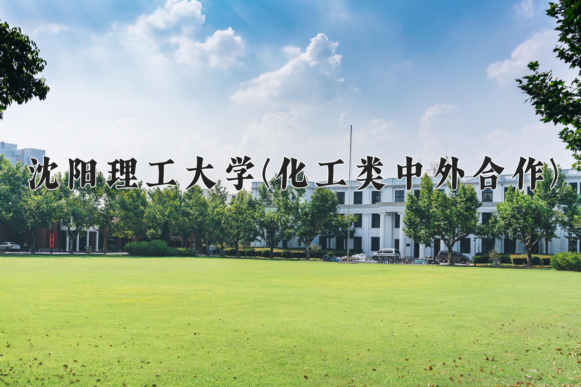 沈阳理工大学(化工类中外合作)