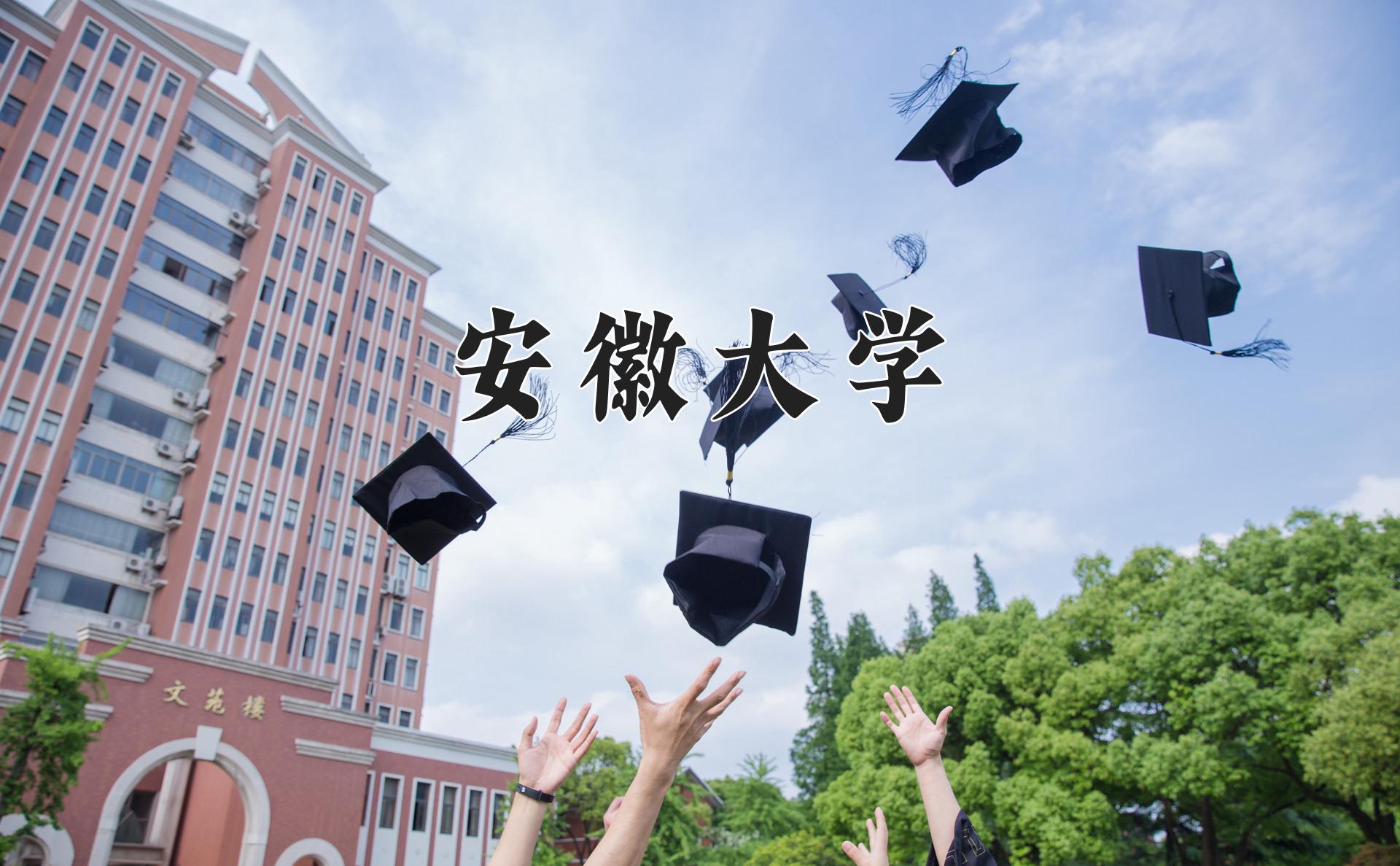 安徽大学