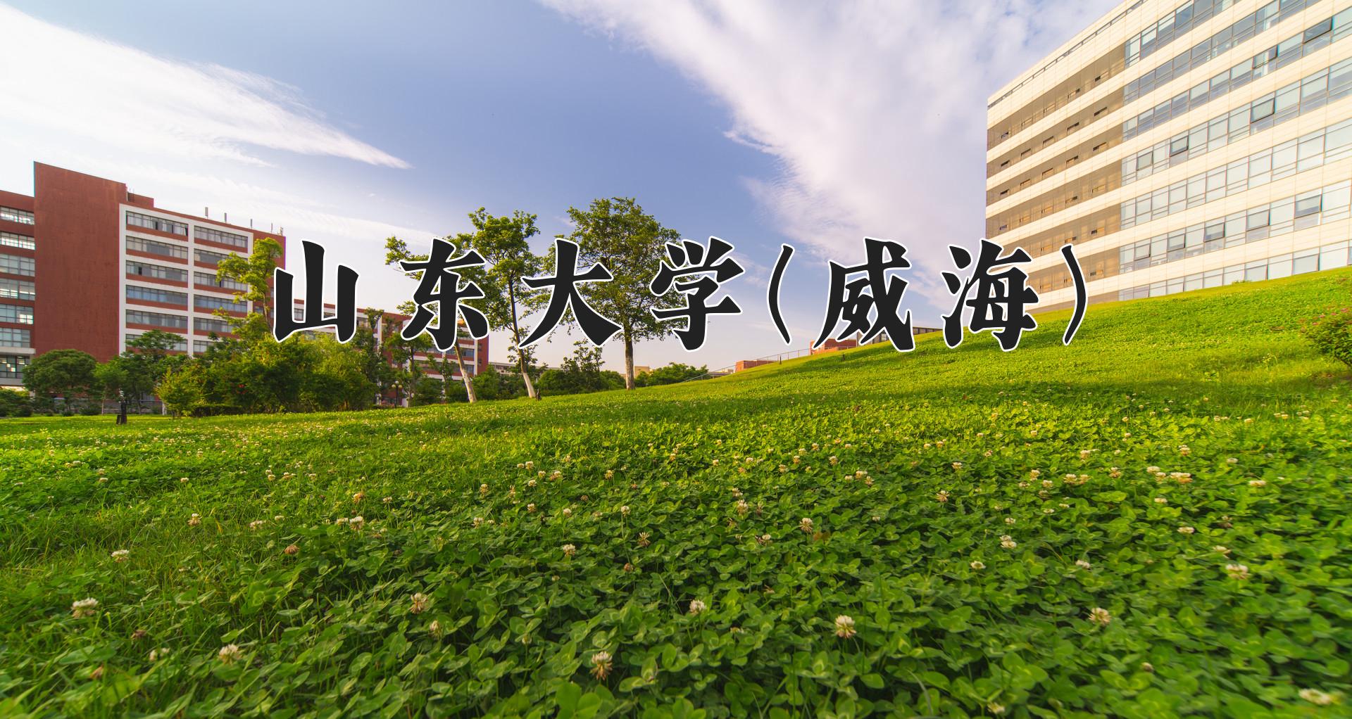 山东大学(威海)