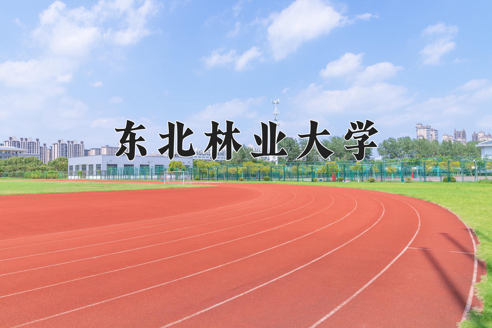 东北林业大学