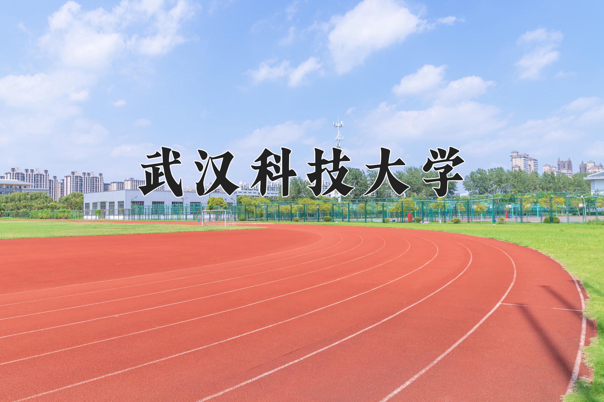 武汉科技大学