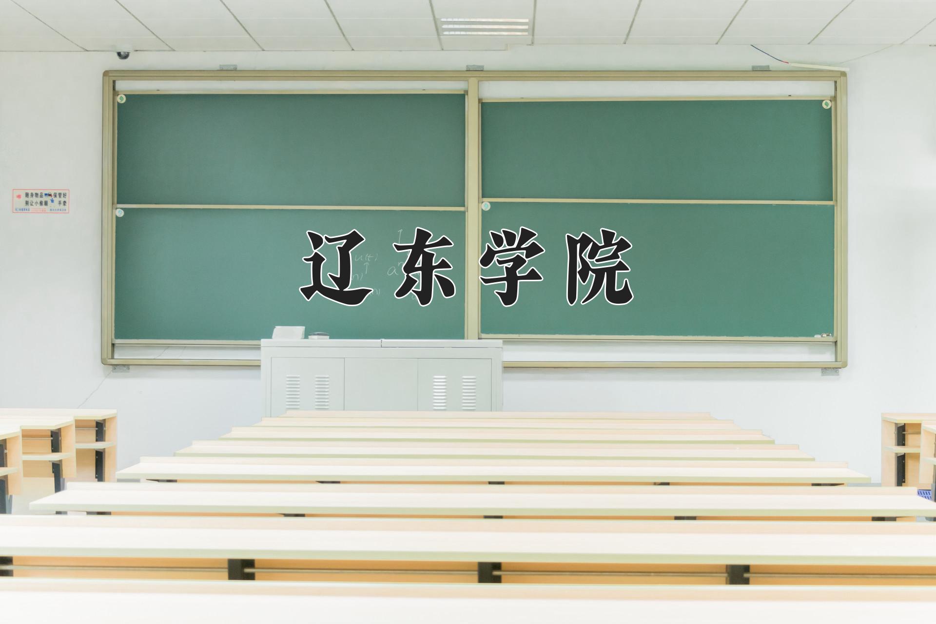 辽东学院