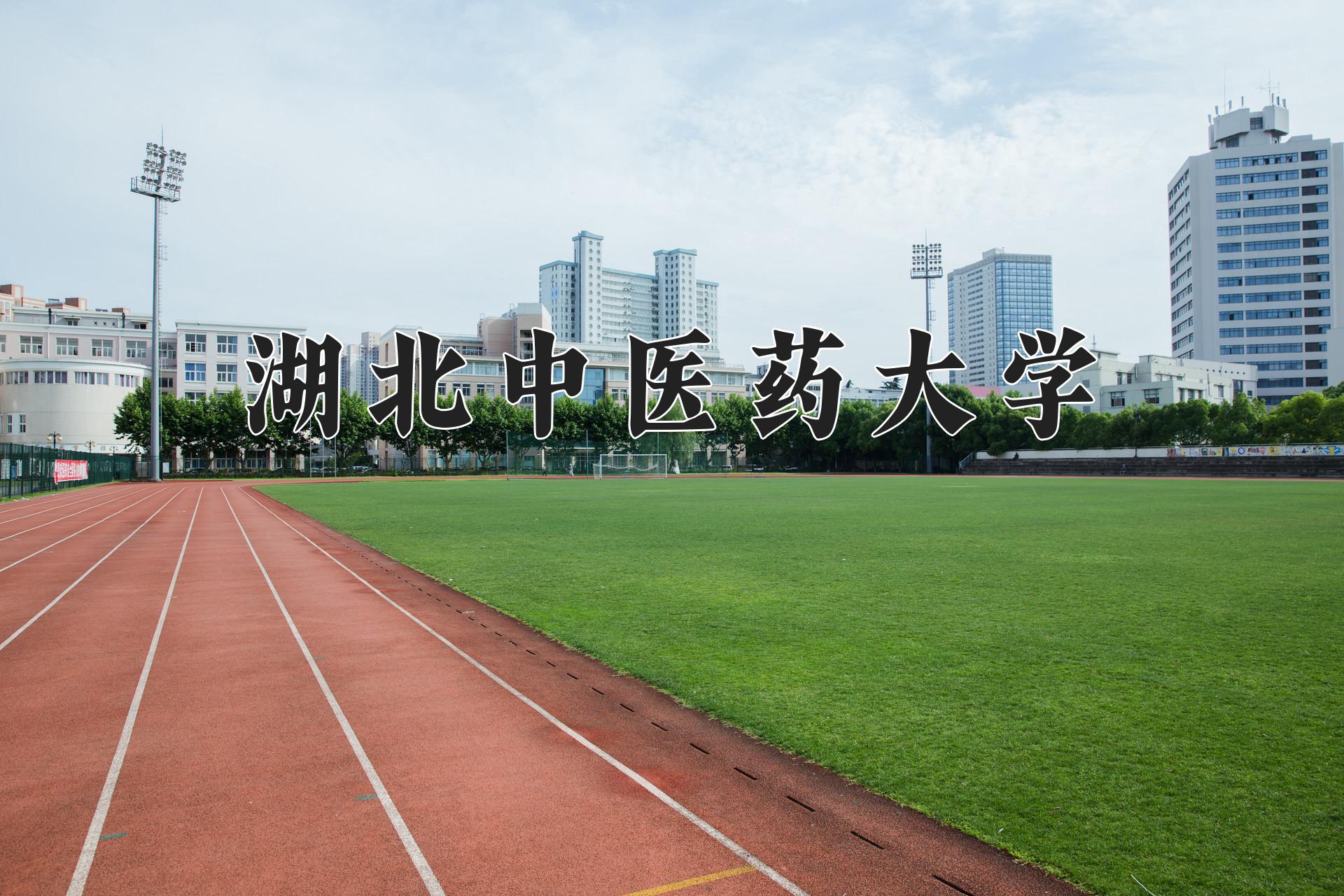 湖北中医药大学