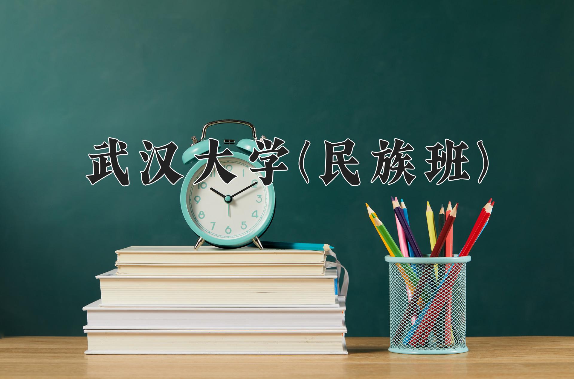 武汉大学(民族班)