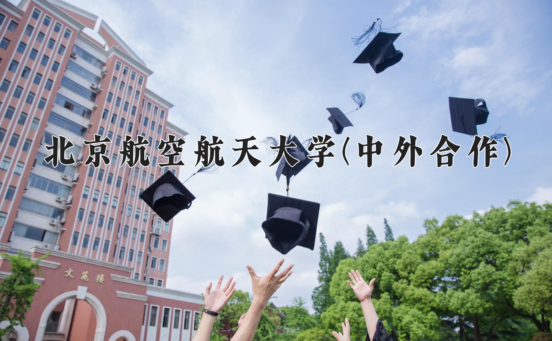 北京航空航天大学(中外合作)