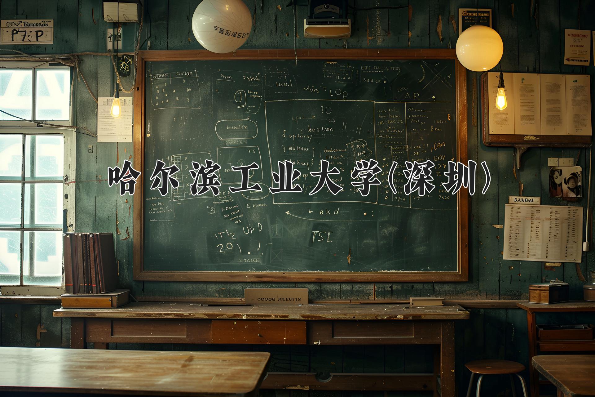 哈尔滨工业大学(深圳)