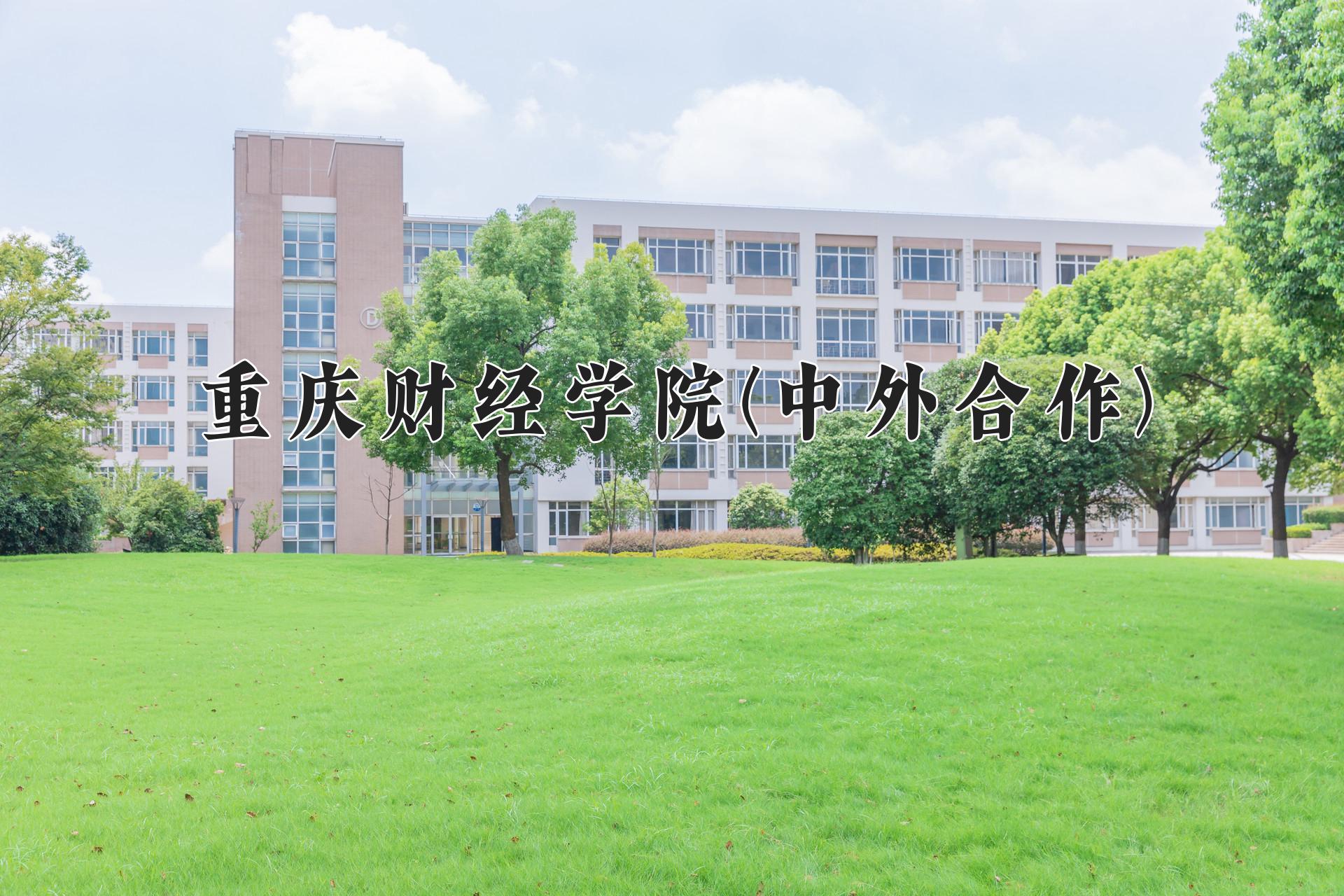 重庆财经学院(中外合作)