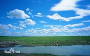 听听数学卢老师如何训练孩子们高效学习数学学习数学，省时省力