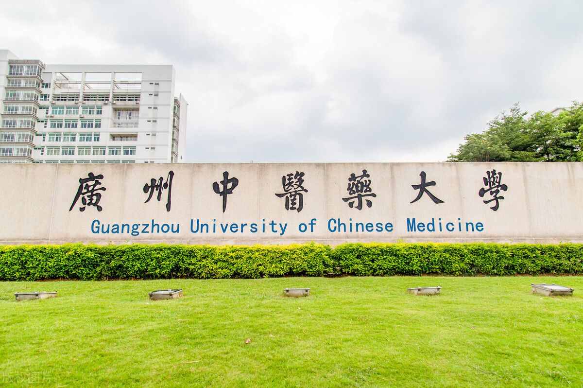 中医养生学专业大学排名（2024前五强最新大学排名）