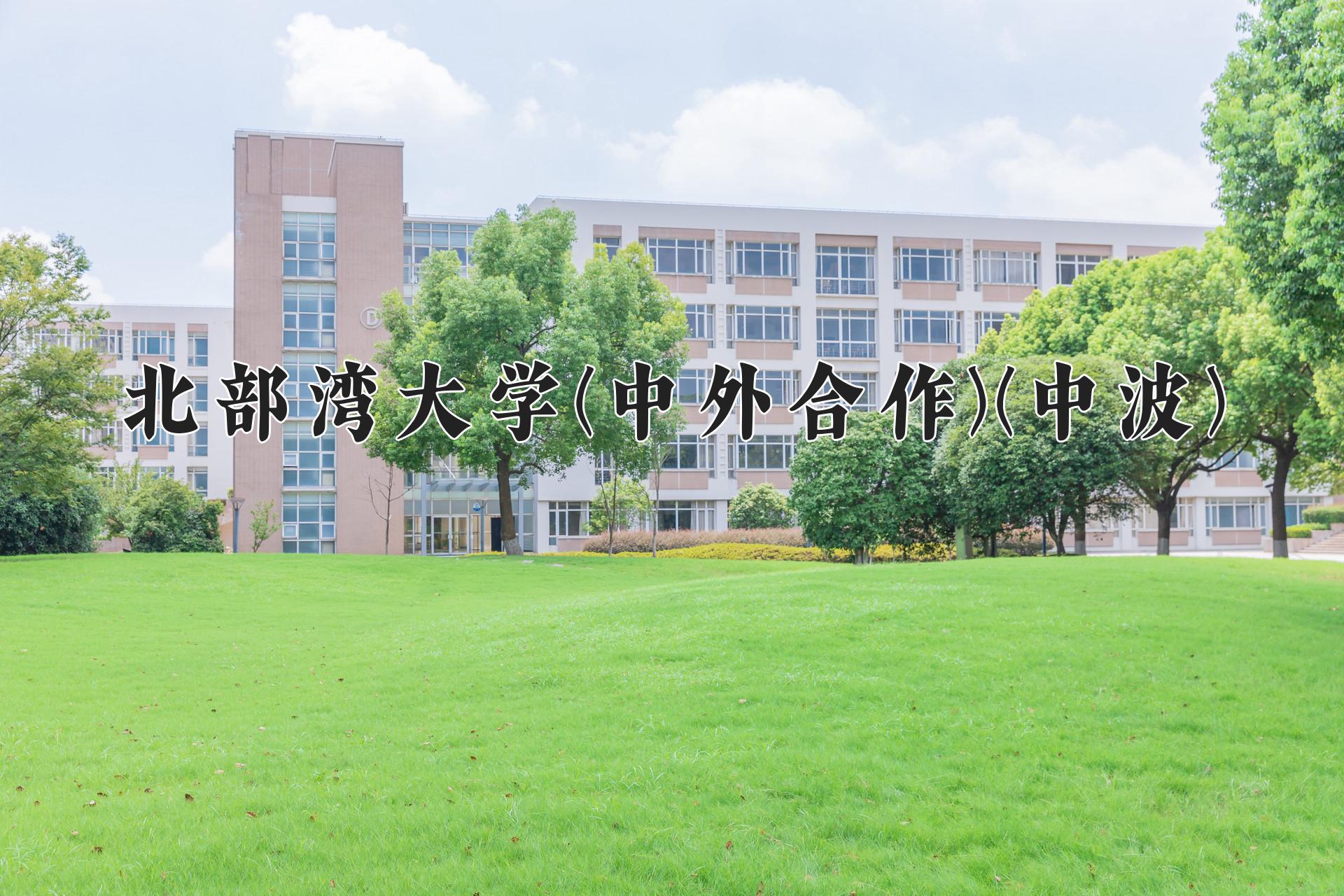 北部湾大学(中外合作)(中波)