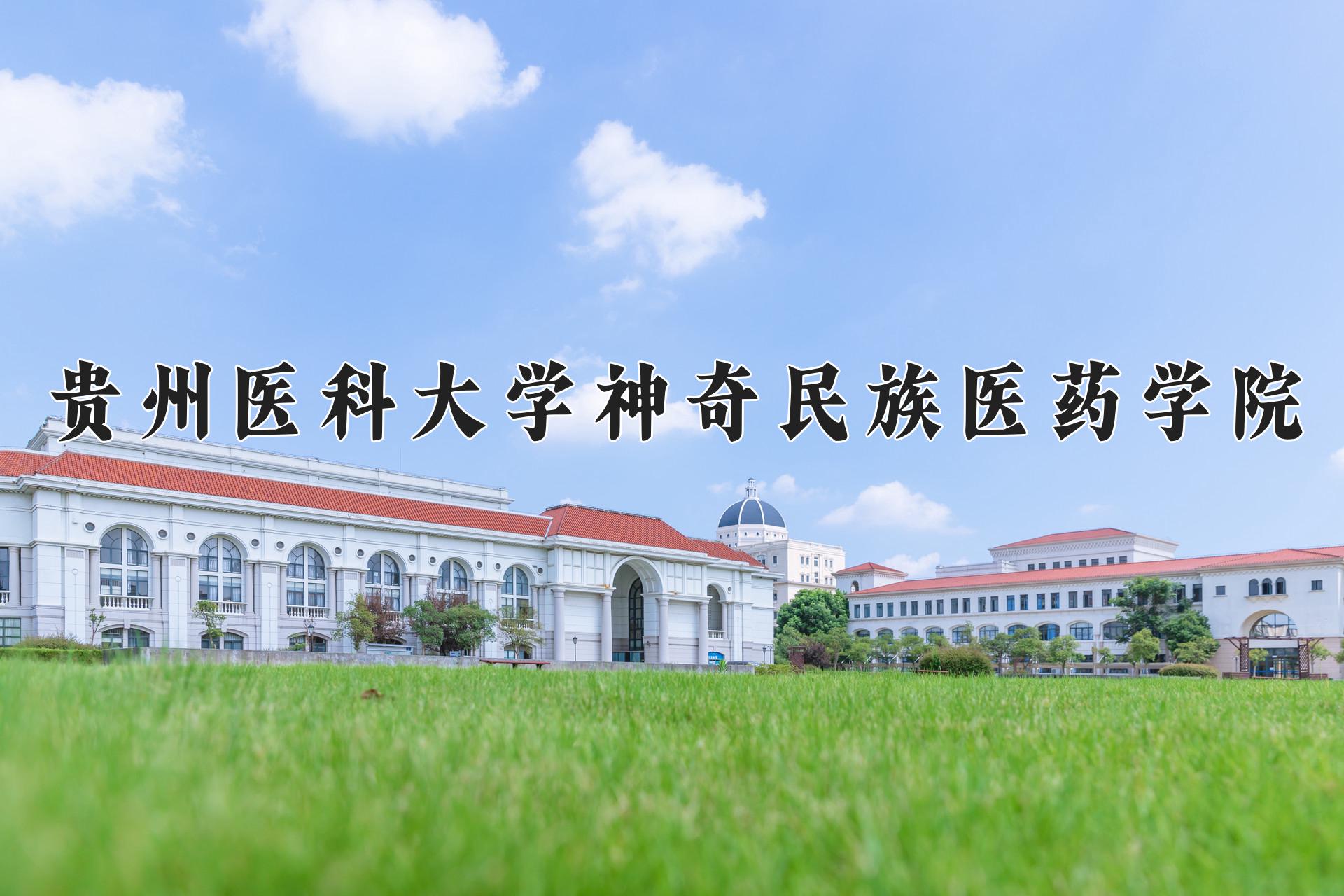 贵州医科大学神奇民族医药学院