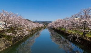 杭州二模各科试卷及答案汇总（地理、思想政治、生物）