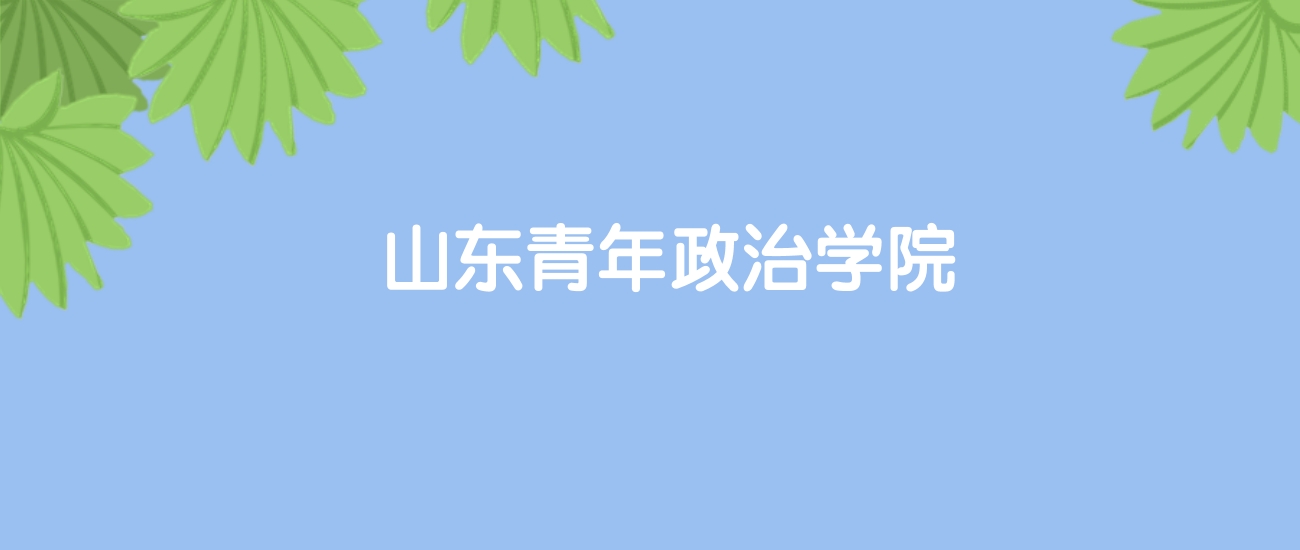 高考410分能上山东青年政治学院吗？