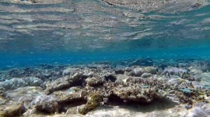 水土流失的危害与类型详解