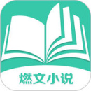 燃文小说极速版