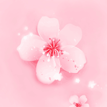 桃花直播视频