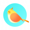 Pocket绘画