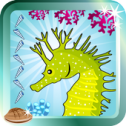 珊瑚礁Coral Reef