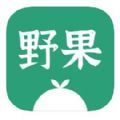 野果阅读 
