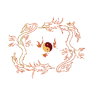 腾龙盒子