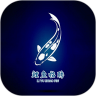 鲤鱼招聘v1.0.1