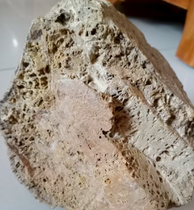 龙涎香是什么？龙涎香的作用