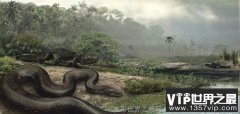 现今世界最大蟒蛇简介：史上最大蟒蛇塞雷洪泰坦蟒