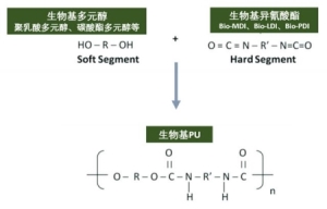 聚氨酯加工技术物种基PU解锁聚氨酯绿色应用新方向3