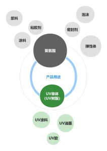 聚氨酯加工技术物种基PU解锁聚氨酯绿色应用新方向6