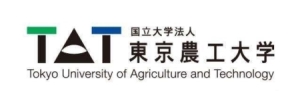 日本东京有哪些著名大学（日本留学生最爱的城市12