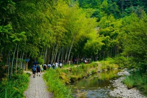 楠溪江的最佳游玩季节悠悠三百里楠溪江20