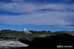 写良师的散文散文我的师娘1