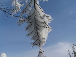 冬天雪花像什么一样