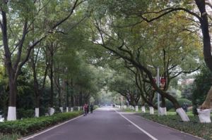 长沙有什么免费的旅游景点（总投资14亿的景区13