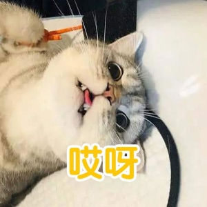 猫咪麻醉一般多长时间能醒过来？猫的镇静与麻醉有什么分别？