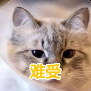 猫咪麻醉一般多长时间能醒过来？猫的镇静与麻醉有什么分别？