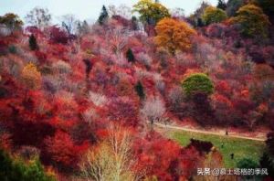 辽宁去哪里 到辽宁这几个地方走走14