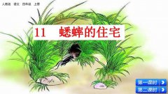 四年级上册11课蟋蟀的住宅知识点 部编四年级语文上册第11课蟋蟀的住宅知识点