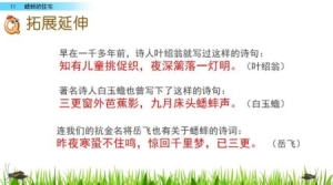 四年级上册11课蟋蟀的住宅知识点 部编四年级语文上册第11课蟋蟀的住宅知识点3