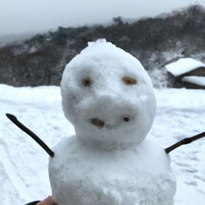 肢体雪人：冬日里的奥秘物种